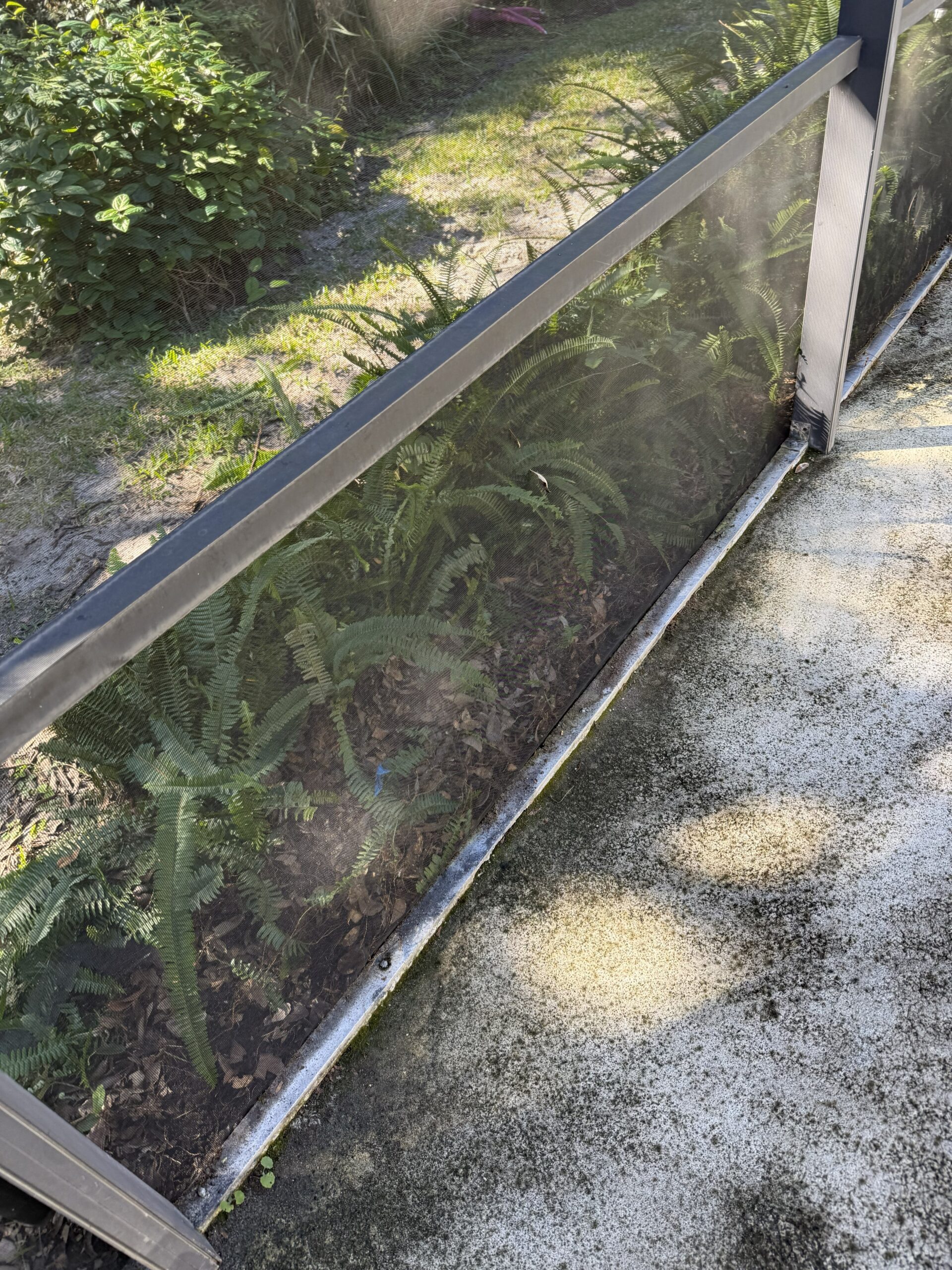 pool cage repair lanai structure